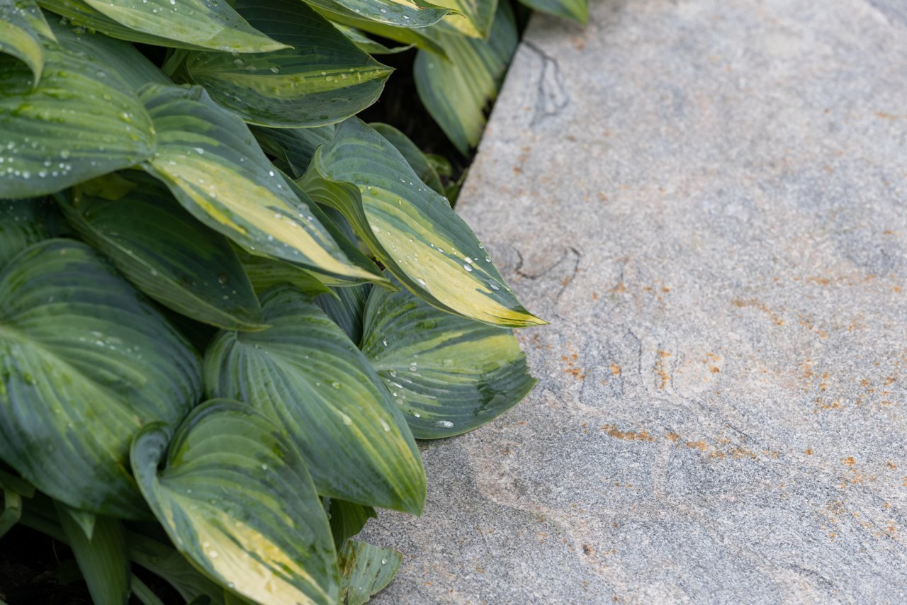 Close up view of pathway