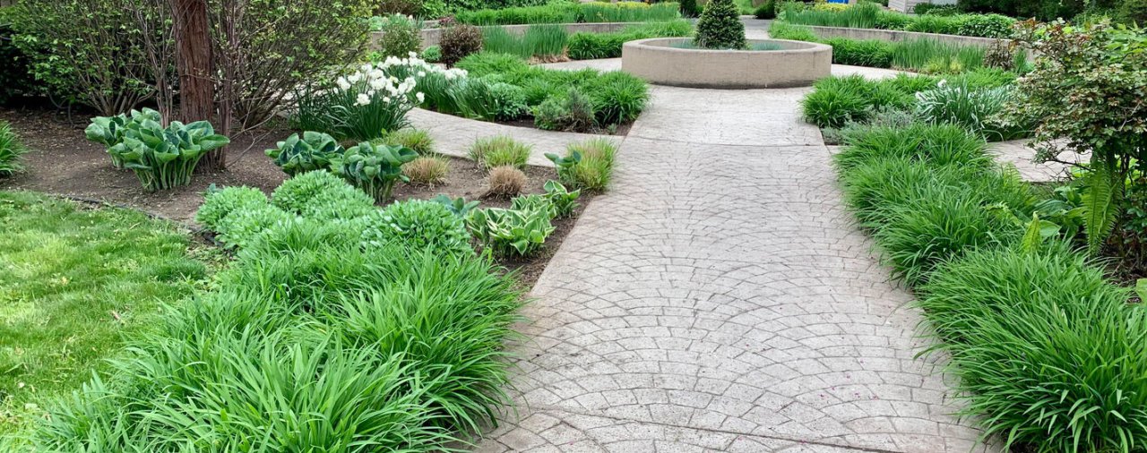 Commercial landscaped garden with paver pathway